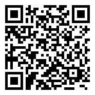 qr Code Url
